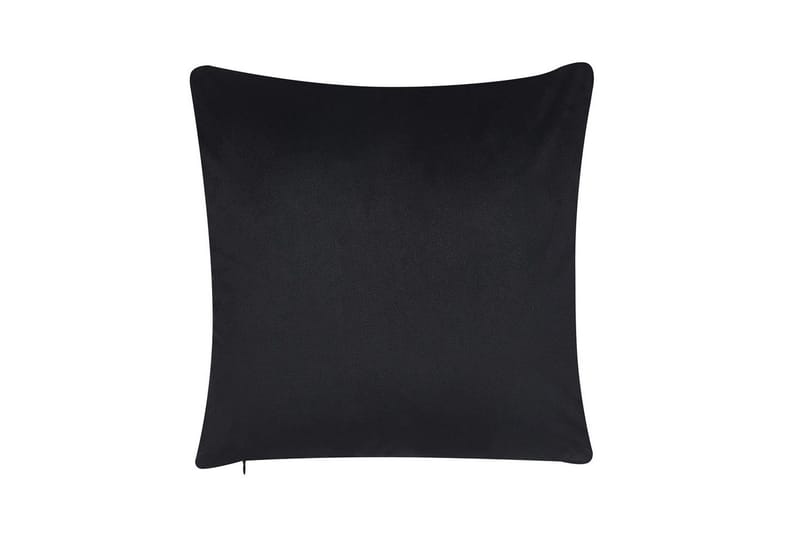 Prydnadskuddar Lagurus set om 2 - Textil & mattor - Filtar, kuddar & plädar - Utekudde