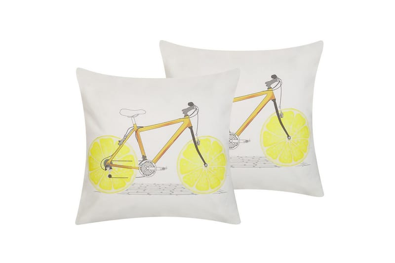 Prydnadskuddar Ruscus set om 2, undefined