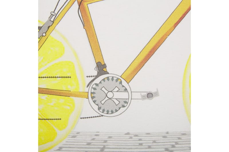 Prydnadskuddar Ruscus set om 2 - Textil & mattor - Filtar, kuddar & plädar - Utekudde