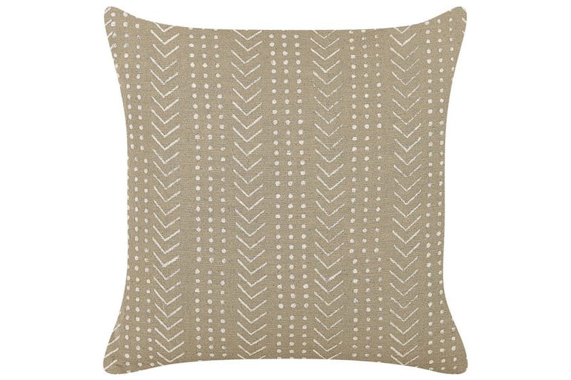 Prydnadskuddar Senecio, undefined