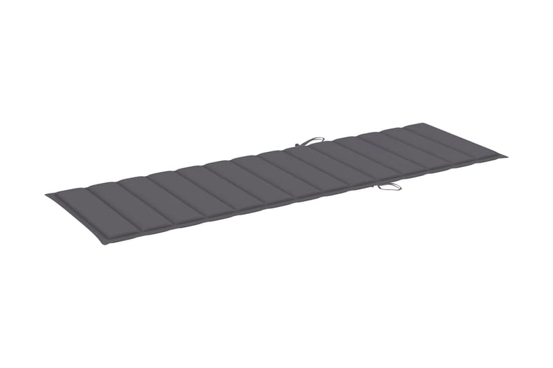 Solsängsdyna antracit 200x60x3 cm tyg - Grå - Utemöbler - Dynor - Dyna solsäng
