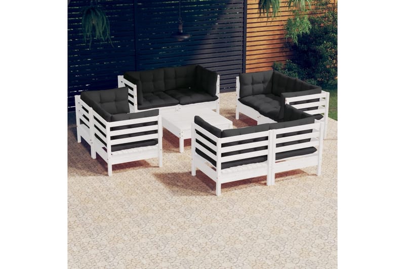 Loungegrupp Utomhus med antracit dynor 9 delar massiv furu - Vit/svart - Utemöbler - Loungemöbler - Loungegrupp & Loungeset