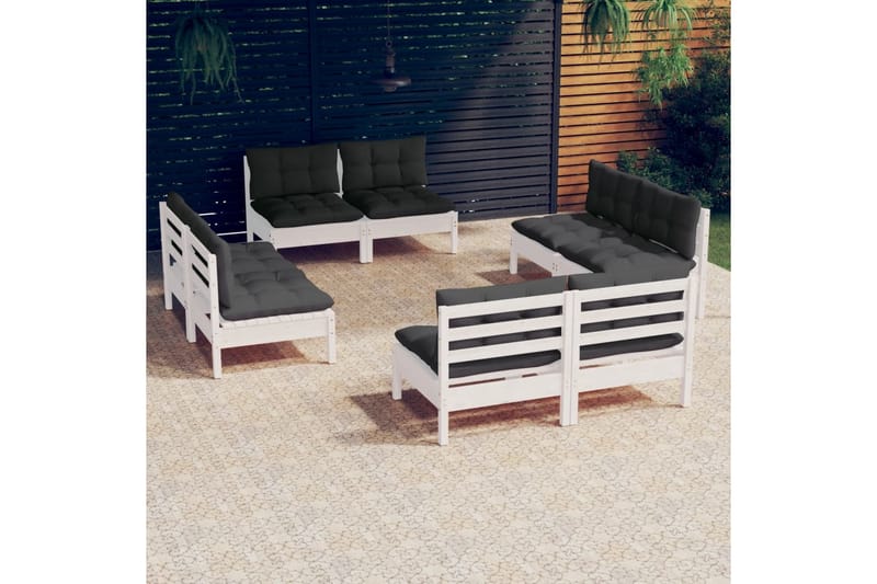 Loungegrupp Utomhus med antracit dynor 8 delar massiv furu - Vit/svart - Utemöbler - Loungemöbler - Loungegrupp & Loungeset
