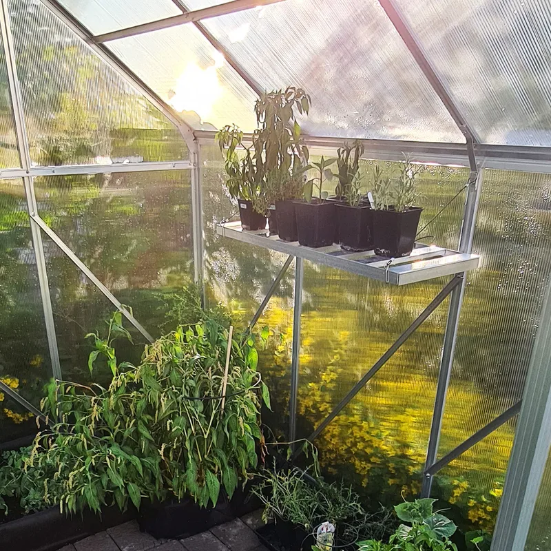 Hylla till växthus - Utemöbler - Övrigt utemöbler - Tillbehör utomhus - Hyllor