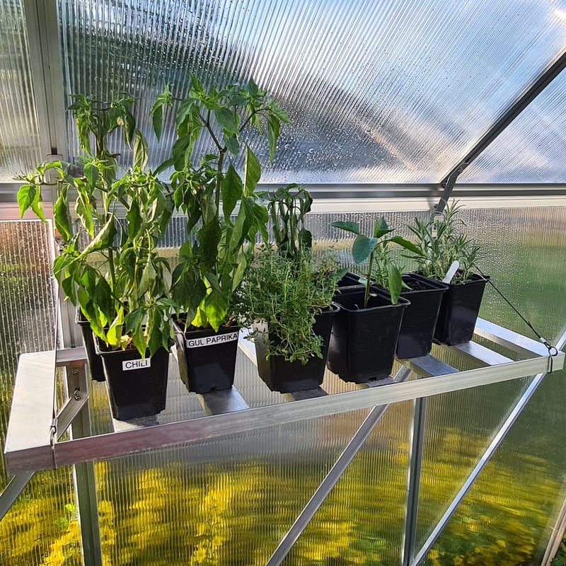 Hylla till växthus, undefined