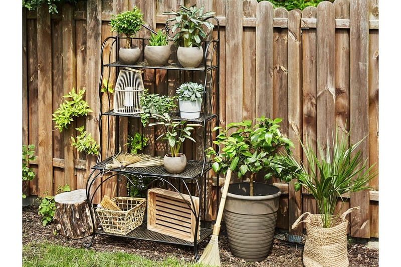 Växthylla 4 hyllor metall svart PAVONA - Svart - Utemöbler - Övrigt utemöbler - Tillbehör utomhus - Hyllor