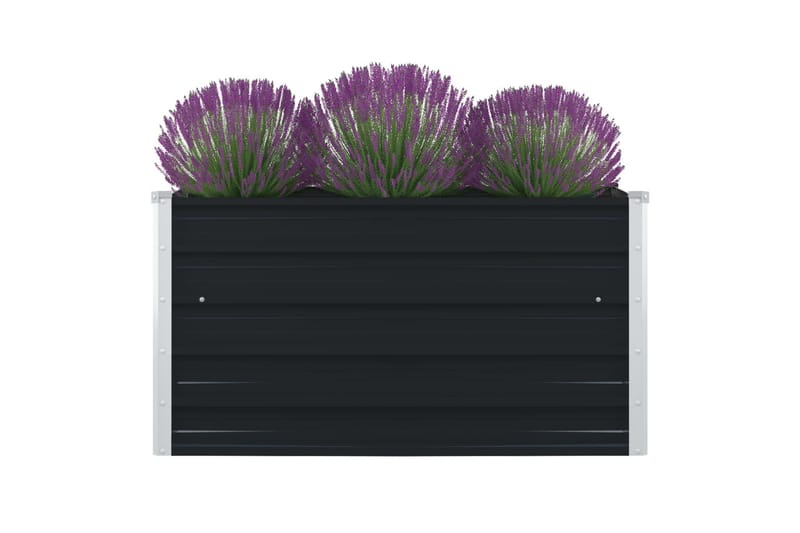 Odlingslåda 100x100x45 cm galvaniserat stål antracit - Grå - Utemöbler - Övrigt utemöbler - Tillbehör utomhus - Utomhuskrukor