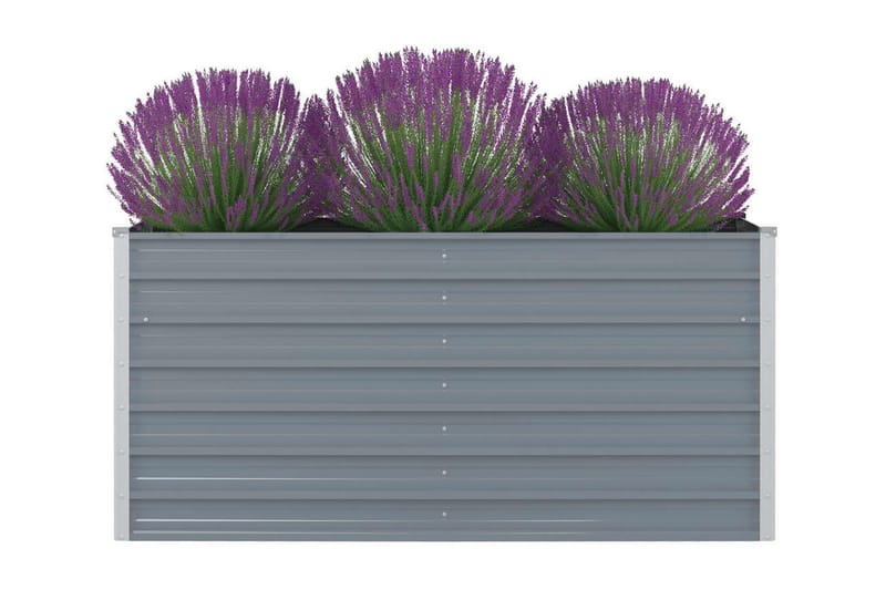 Odlingslåda 160x80x77 cm galvaniserad stål grå - Grå - Blomlåda - Utomhuskrukor