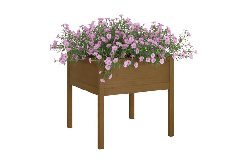 Odlingslåda 2 st honungsbrun 70x70x70 cm massiv furu - Honung - Utemöbler - Övrigt utemöbler - Tillbehör utomhus - Utomhuskrukor