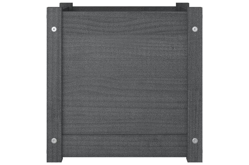 Odlingslåda grå 40x40x40 cm massiv furu - Grå - Utemöbler - Övrigt utemöbler - Tillbehör utomhus - Utomhuskrukor