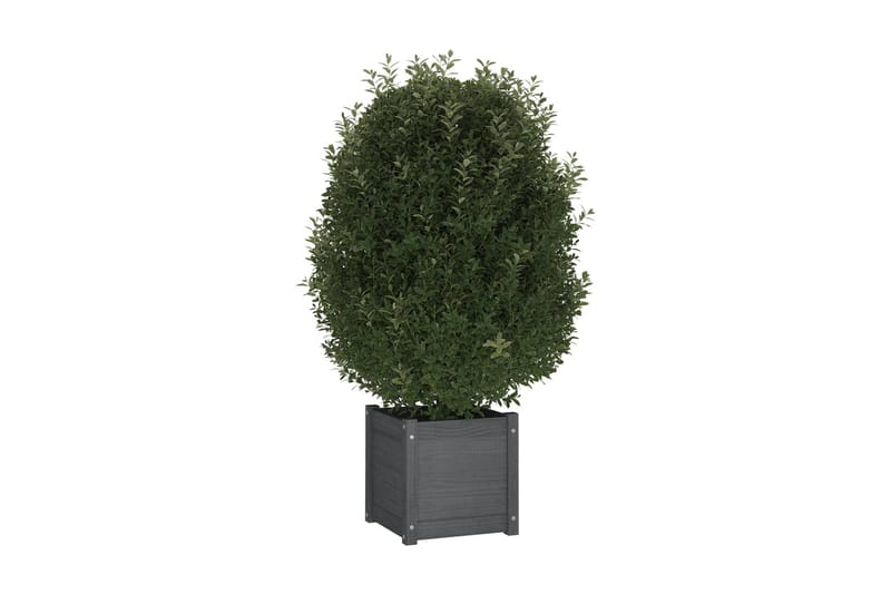 Odlingslåda grå 40x40x40 cm massiv furu - Grå - Utemöbler - Övrigt utemöbler - Tillbehör utomhus - Utomhuskrukor