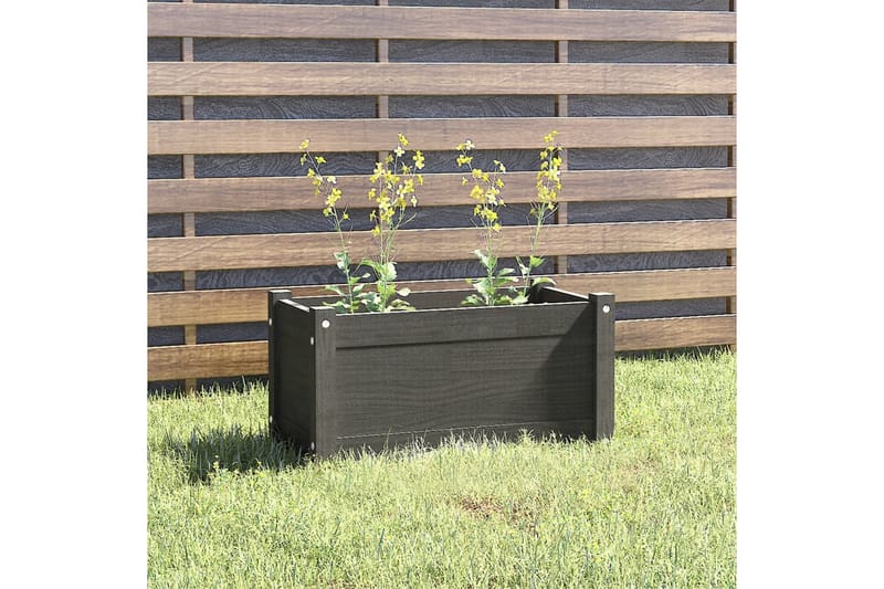 Odlingslåda grå 60x31x31 cm massiv furu - Grå - Utemöbler - Övrigt utemöbler - Tillbehör utomhus - Utomhuskrukor