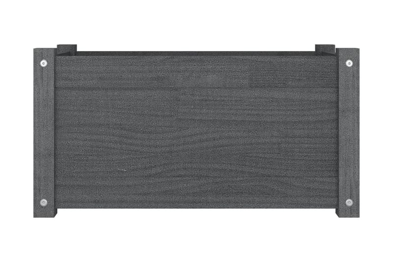 Odlingslåda grå 60x31x31 cm massiv furu - Grå - Utemöbler - Övrigt utemöbler - Tillbehör utomhus - Utomhuskrukor
