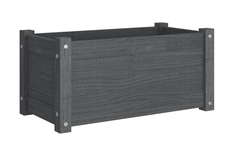 Odlingslåda grå 60x31x31 cm massiv furu - Grå - Utemöbler - Övrigt utemöbler - Tillbehör utomhus - Utomhuskrukor