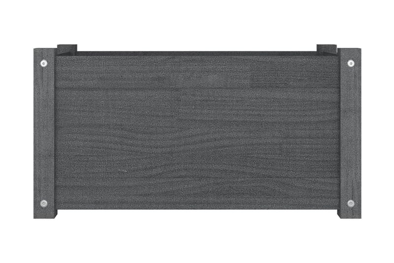 Odlingslåda grå 60x31x31 cm massiv furu - Grå - Utemöbler - Övrigt utemöbler - Tillbehör utomhus - Utomhuskrukor