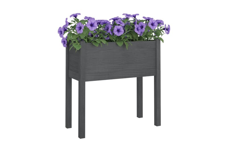 Odlingslåda grå 70x31x70 cm massiv furu - Grå - Blomlåda - Utomhuskrukor