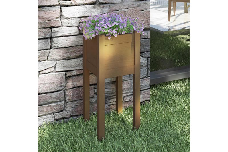 Odlingslåda honungsbrun 31x31x70 cm massiv furu - Honung - Utemöbler - Övrigt utemöbler - Tillbehör utomhus - Utomhuskrukor