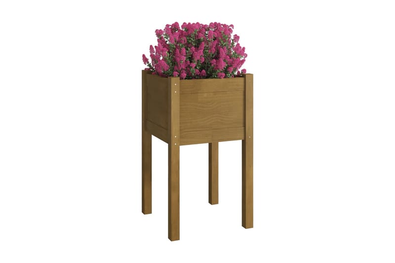 Odlingslåda honungsbrun 40x40x70 cm massiv furu - Honung - Utemöbler - Övrigt utemöbler - Tillbehör utomhus - Utomhuskrukor