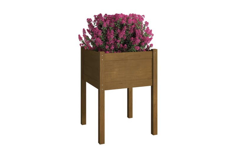 Odlingslåda honungsbrun 50x50x70 cm massiv furu - Honung - Utemöbler - Övrigt utemöbler - Tillbehör utomhus - Utomhuskrukor