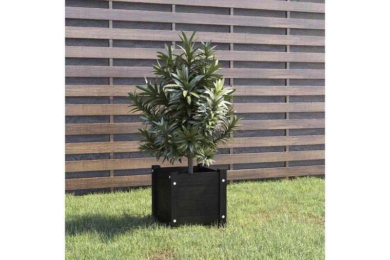 Odlingslåda svart 31x31x31 cm massiv furu - Svart - Utemöbler - Övrigt utemöbler - Tillbehör utomhus - Utomhuskrukor