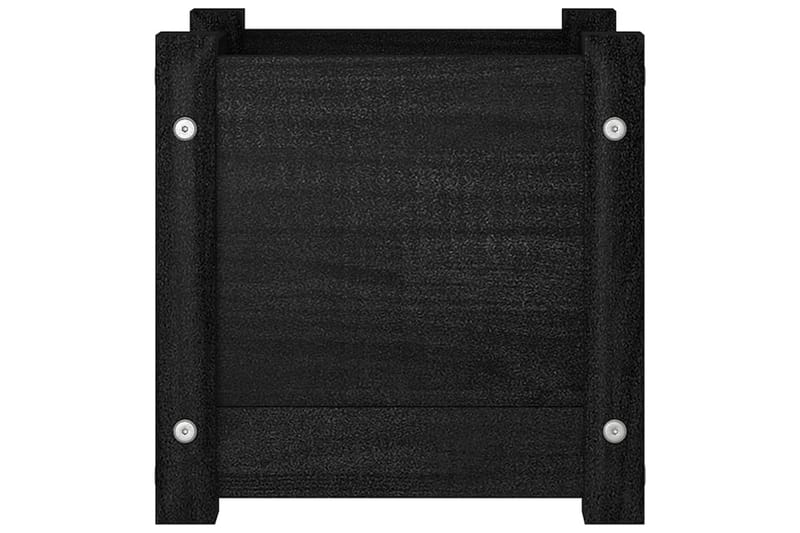 Odlingslåda svart 31x31x31 cm massiv furu - Svart - Utemöbler - Övrigt utemöbler - Tillbehör utomhus - Utomhuskrukor