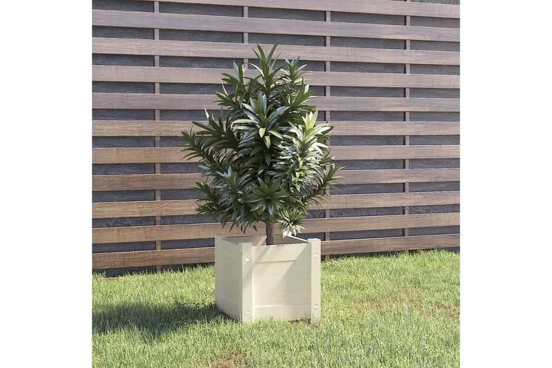 Odlingslåda vit 31x31x31 cm massiv furu - Vit - Utemöbler - Övrigt utemöbler - Tillbehör utomhus - Utomhuskrukor