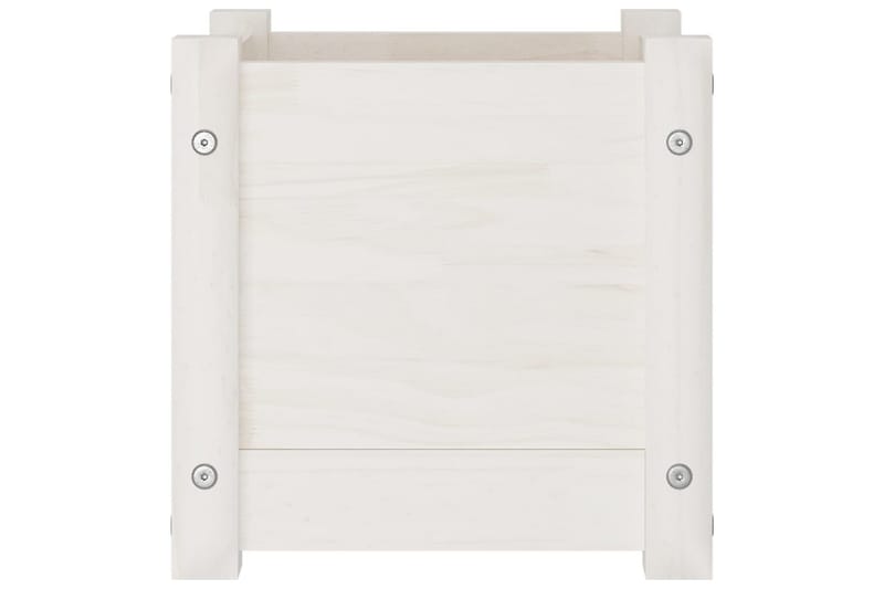 Odlingslåda vit 31x31x31 cm massiv furu - Vit - Utemöbler - Övrigt utemöbler - Tillbehör utomhus - Utomhuskrukor