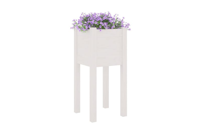 Odlingslåda vit 31x31x70 cm massiv furu - Vit - Blomlåda - Utomhuskrukor