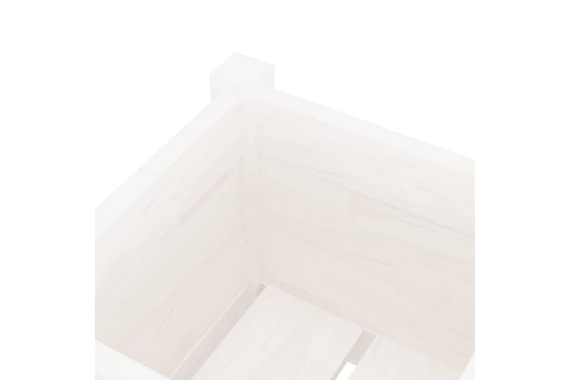 Odlingslåda vit 31x31x70 cm massiv furu - Vit - Utemöbler - Övrigt utemöbler - Tillbehör utomhus - Utomhuskrukor