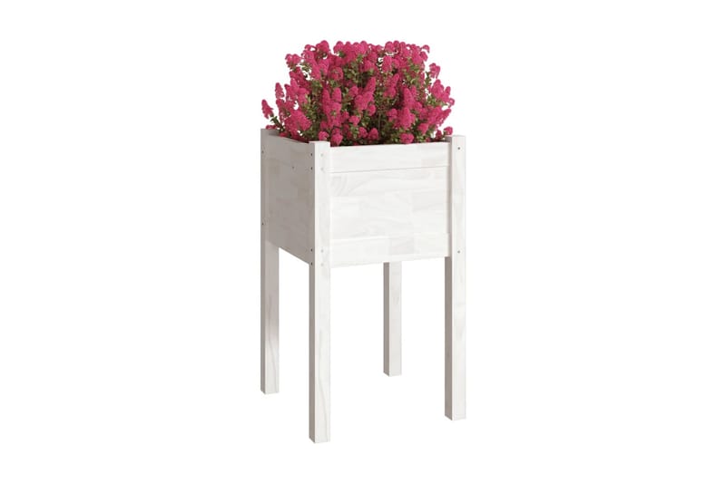 Odlingslåda vit 40x40x70 cm massiv furu - Vit - Utemöbler - Övrigt utemöbler - Tillbehör utomhus - Utomhuskrukor
