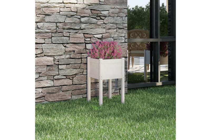 Odlingslåda vit 40x40x70 cm massiv furu - Vit - Utemöbler - Övrigt utemöbler - Tillbehör utomhus - Utomhuskrukor