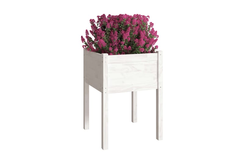 Odlingslåda vit 50x50x70 cm massiv furu - Vit - Utemöbler - Övrigt utemöbler - Tillbehör utomhus - Utomhuskrukor