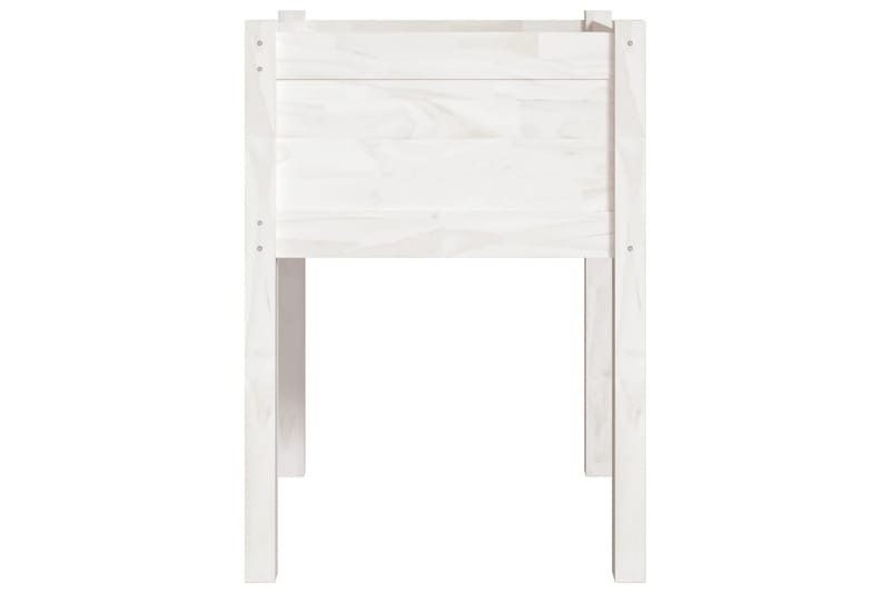Odlingslåda vit 50x50x70 cm massiv furu - Vit - Utemöbler - Övrigt utemöbler - Tillbehör utomhus - Utomhuskrukor