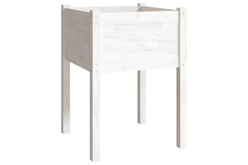 Odlingslåda vit 50x50x70 cm massiv furu - Vit - Utemöbler - Övrigt utemöbler - Tillbehör utomhus - Utomhuskrukor
