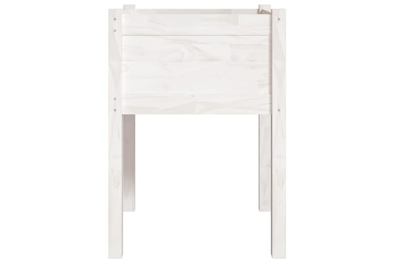 Odlingslåda vit 50x50x70 cm massiv furu - Vit - Utemöbler - Övrigt utemöbler - Tillbehör utomhus - Utomhuskrukor