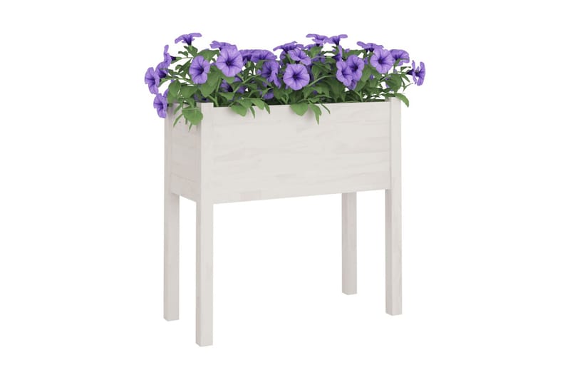 Odlingslåda vit 70x31x70 cm massiv furu - Vit - Utemöbler - Övrigt utemöbler - Tillbehör utomhus - Utomhuskrukor