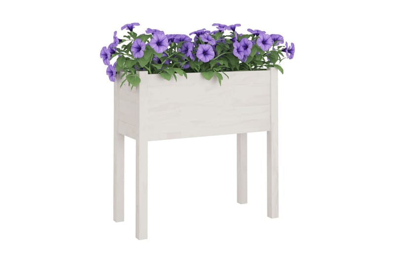 Odlingslåda vit 70x31x70 cm massiv furu - Vit - Blomlåda - Utomhuskrukor