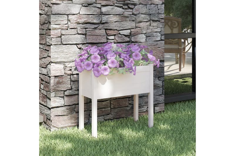 Odlingslåda vit 70x31x70 cm massiv furu - Vit - Utemöbler - Övrigt utemöbler - Tillbehör utomhus - Utomhuskrukor