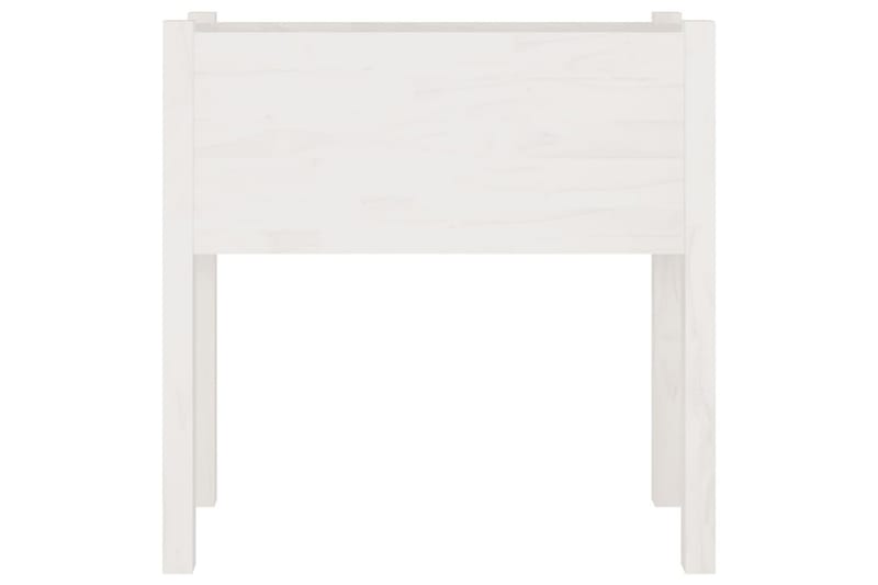 Odlingslåda vit 70x31x70 cm massiv furu - Vit - Utemöbler - Övrigt utemöbler - Tillbehör utomhus - Utomhuskrukor