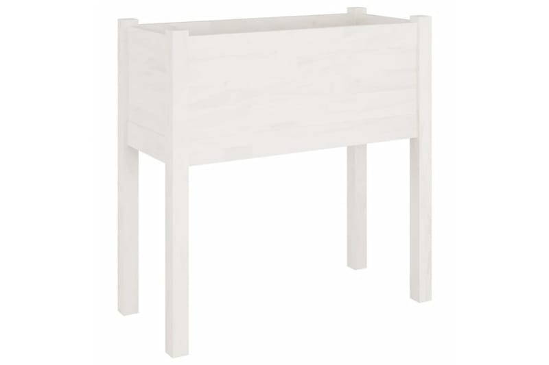 Odlingslåda vit 70x31x70 cm massiv furu - Vit - Utemöbler - Övrigt utemöbler - Tillbehör utomhus - Utomhuskrukor
