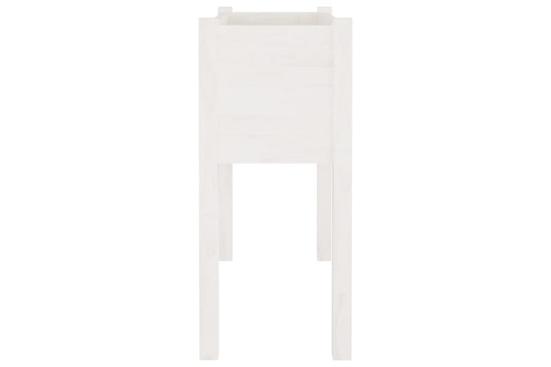 Odlingslåda vit 70x31x70 cm massiv furu - Vit - Utemöbler - Övrigt utemöbler - Tillbehör utomhus - Utomhuskrukor