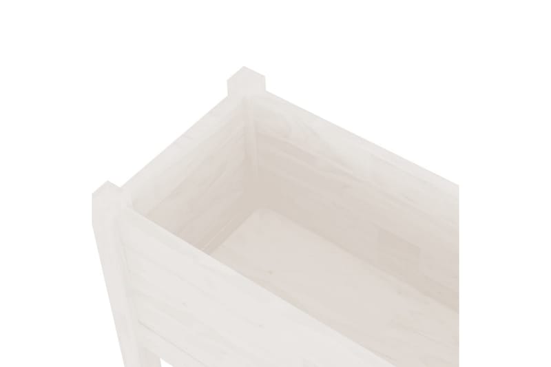 Odlingslåda vit 70x31x70 cm massiv furu - Vit - Utemöbler - Övrigt utemöbler - Tillbehör utomhus - Utomhuskrukor