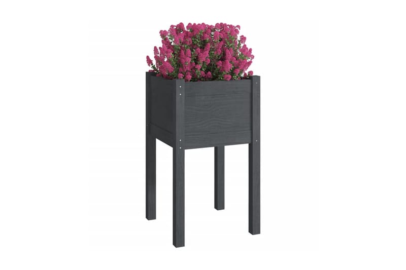Odlingslådor 2 st grå 40x40x70 cm massiv furu - Grå - Utemöbler - Övrigt utemöbler - Tillbehör utomhus - Utomhuskrukor
