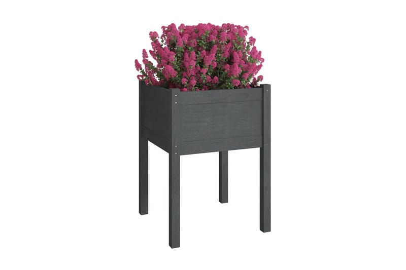 Odlingslådor 2 st grå 50x50x70 cm massiv furu - Grå - Utemöbler - Övrigt utemöbler - Tillbehör utomhus - Utomhuskrukor
