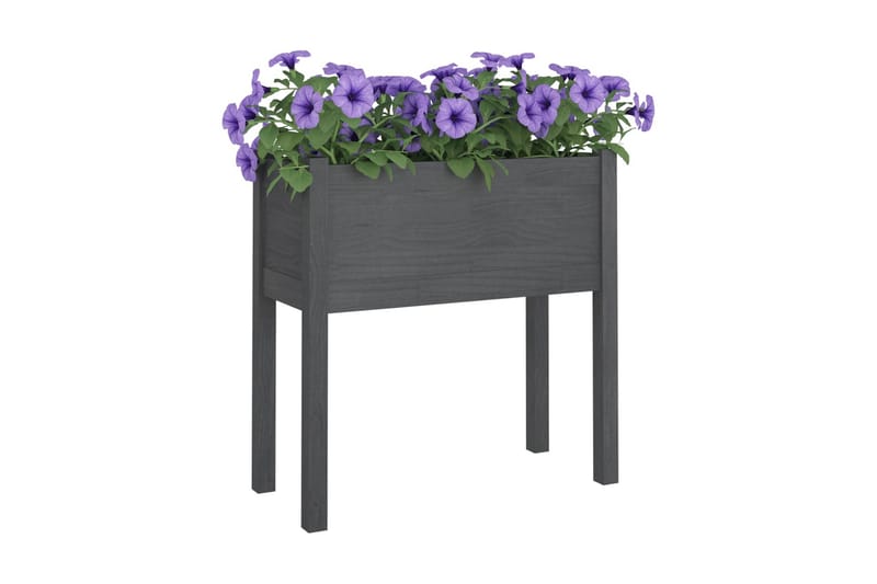 Odlingslådor 2 st grå 70x31x70 cm massiv furu - Grå - Blomlåda - Utomhuskrukor