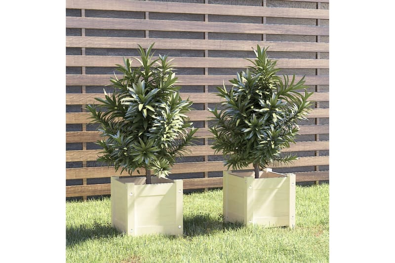 Odlingslådor 2 st vit 31x31x31 cm massiv furu - Vit - Utemöbler - Övrigt utemöbler - Tillbehör utomhus - Utomhuskrukor