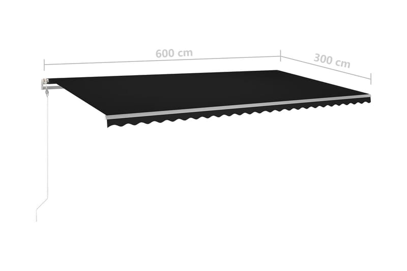 Automatisk markis med vindsensor & LED 600x300 cm antracit - Antracit - Balkongmarkis - Markiser - Terrassmarkis