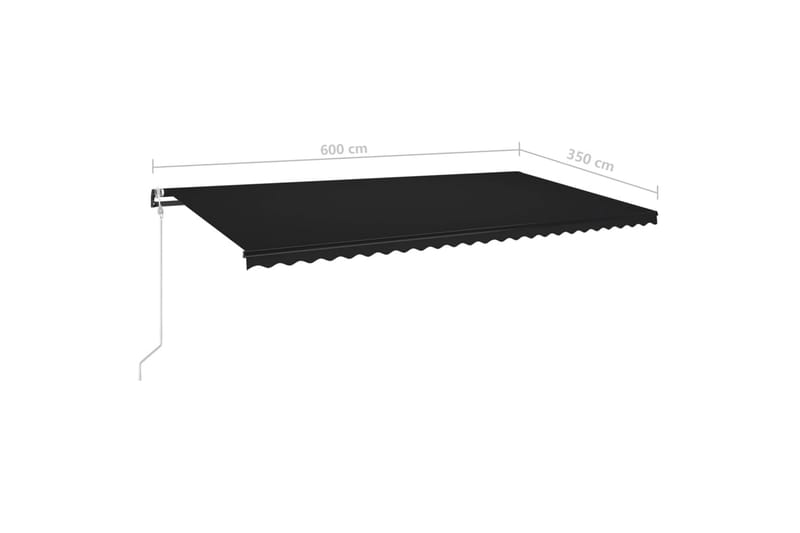 Automatisk markis med vindsensor & LED 600x350 cm antracit - Grå - Utemöbler - Solskydd - Markiser - Balkongmarkis