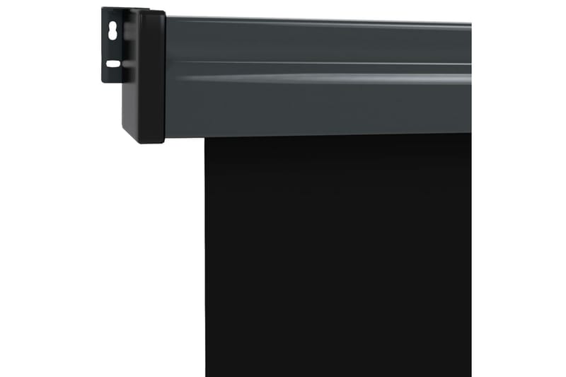 Balkongmarkis 140x250 cm svart - Svart - Balkongmarkis - Markiser - Sidomarkis - Balkongskydd & insynsskydd balkong