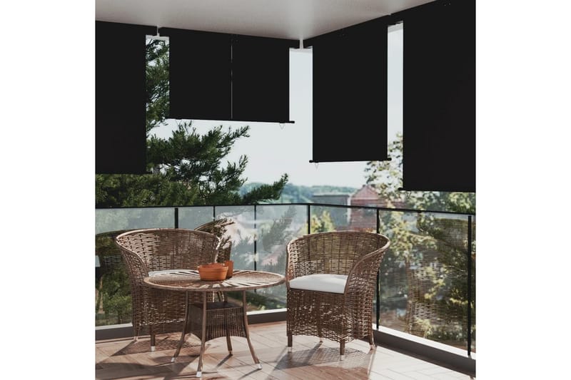 Balkongmarkis 160x250 cm svart - Svart - Fönstermarkis - Markiser - Solskydd fönster